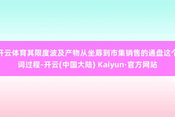 开云体育其限度波及产物从坐蓐到市集销售的通盘这个词过程-开云(中国大陆) Kaiyun·官方网站