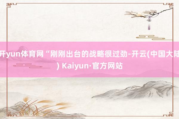 开yun体育网“刚刚出台的战略很过劲-开云(中国大陆) Kaiyun·官方网站