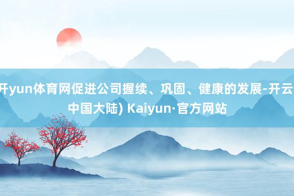 开yun体育网促进公司握续、巩固、健康的发展-开云(中国大陆) Kaiyun·官方网站