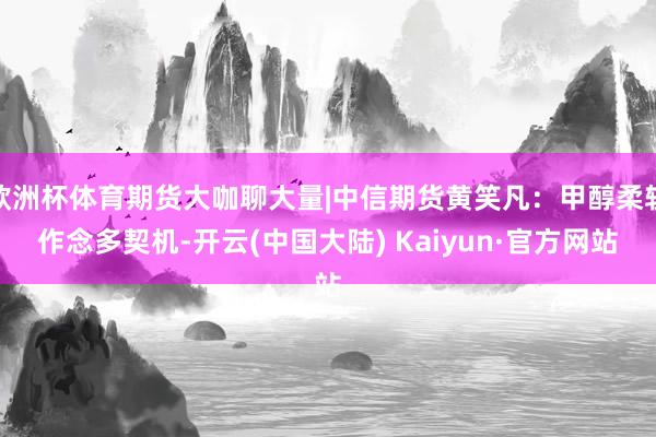 欧洲杯体育期货大咖聊大量|中信期货黄笑凡：甲醇柔软作念多契机-开云(中国大陆) Kaiyun·官方网站
