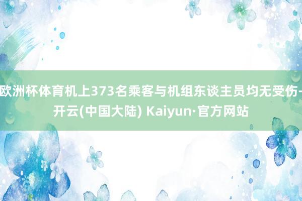 欧洲杯体育机上373名乘客与机组东谈主员均无受伤-开云(中国大陆) Kaiyun·官方网站