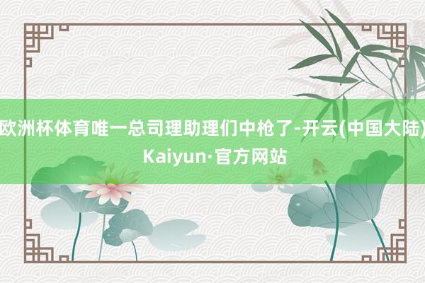 欧洲杯体育唯一总司理助理们中枪了-开云(中国大陆) Kaiyun·官方网站