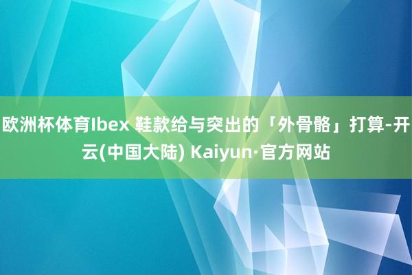 欧洲杯体育Ibex 鞋款给与突出的「外骨骼」打算-开云(中国大陆) Kaiyun·官方网站