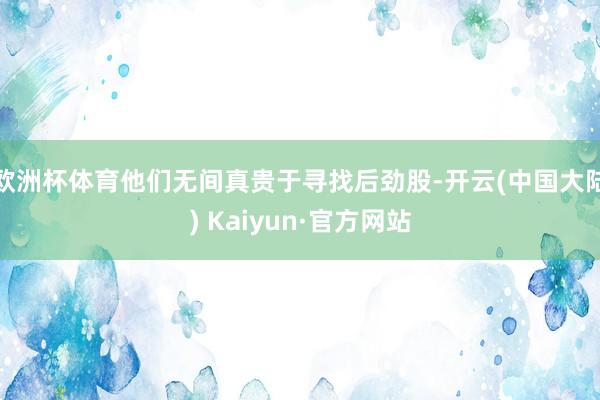 欧洲杯体育他们无间真贵于寻找后劲股-开云(中国大陆) Kaiyun·官方网站